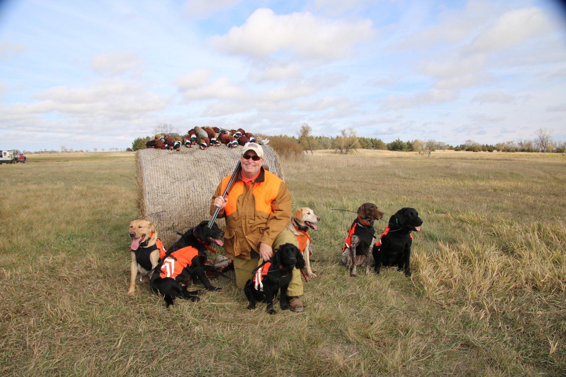 South Dakota Pheasant Hunt Packages Mitchell, SD