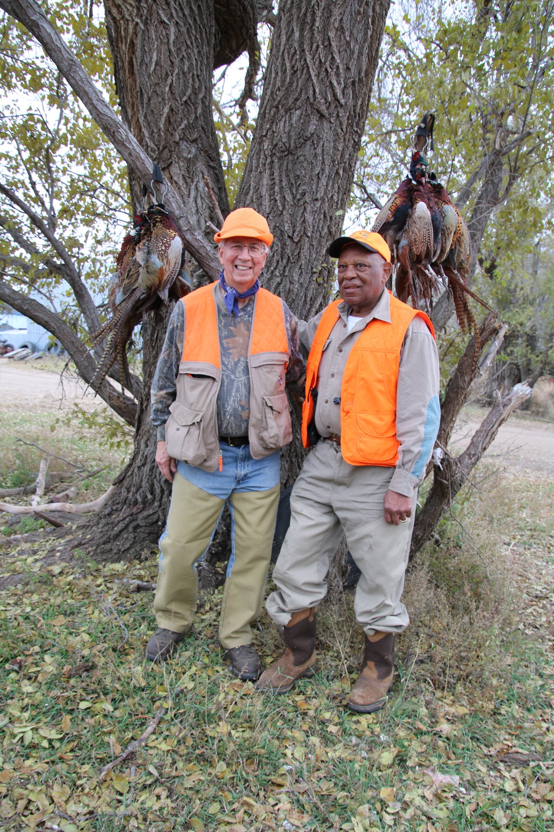South Dakota Pheasant Hunt Packages Mitchell, SD