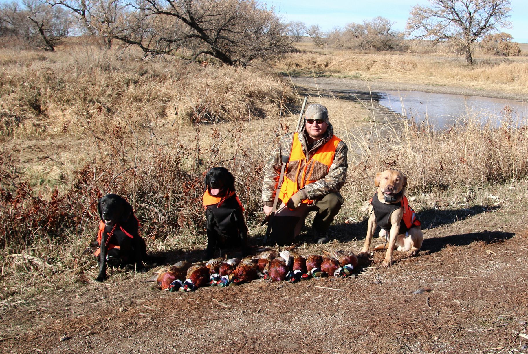 South Dakota Pheasant Hunt Packages Mitchell, SD