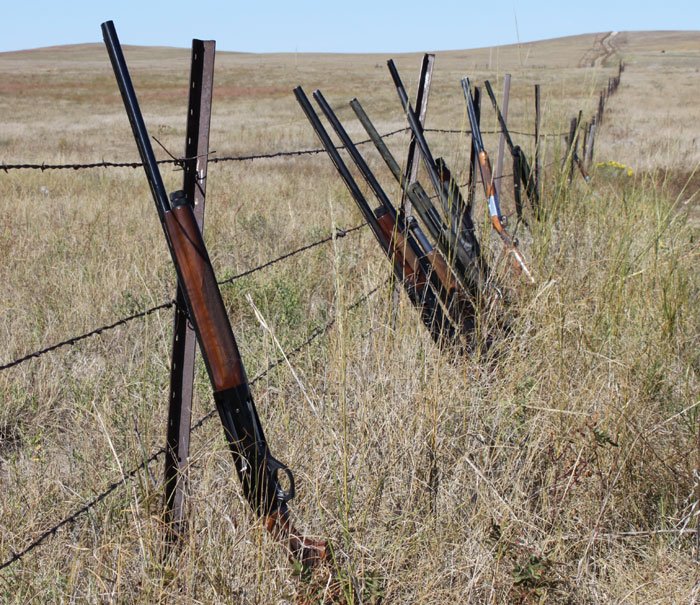 South Dakota Pheasant Hunt Photo Gallery Mitchell, SD