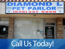Dog Grooming - West Covina, CA - Diamond
