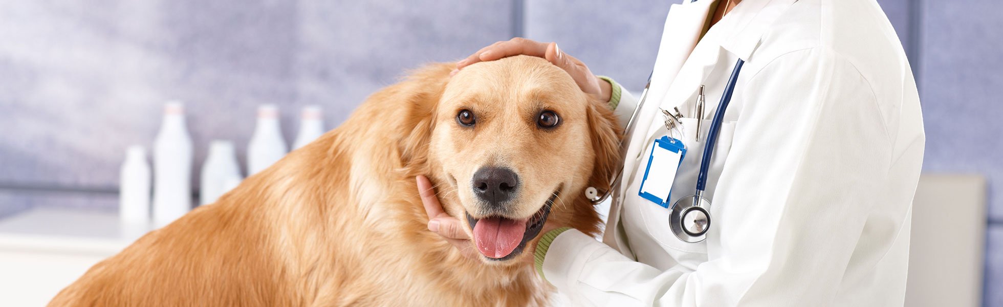 The Visiting Vet Veterinary Services Kalamazoo, MI