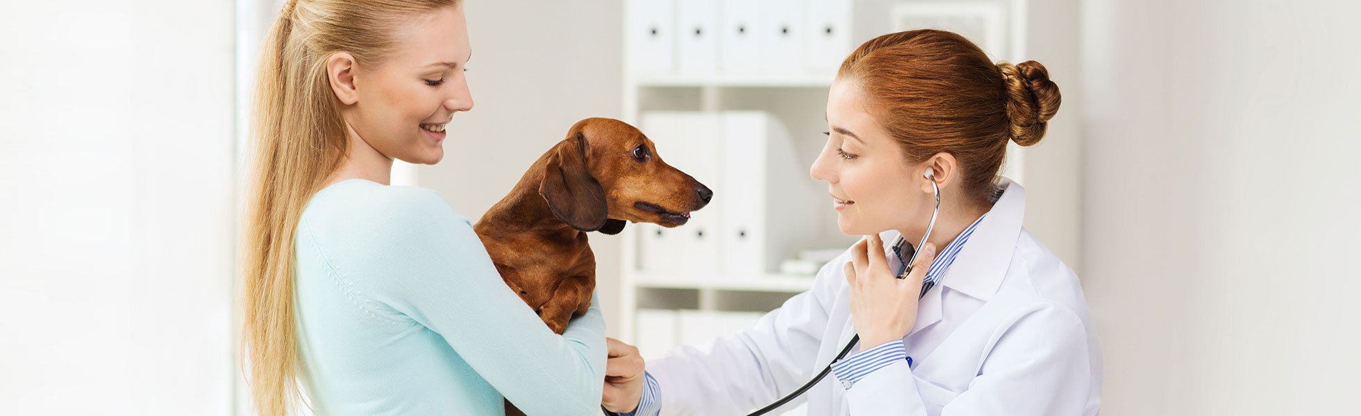 The Visiting Vet Veterinary Services Kalamazoo, MI