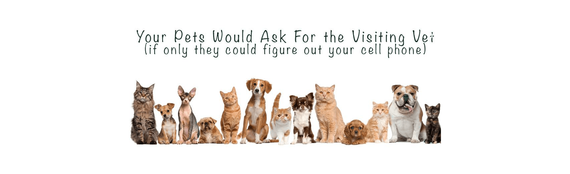 The Visiting Vet Veterinary Services Kalamazoo, MI