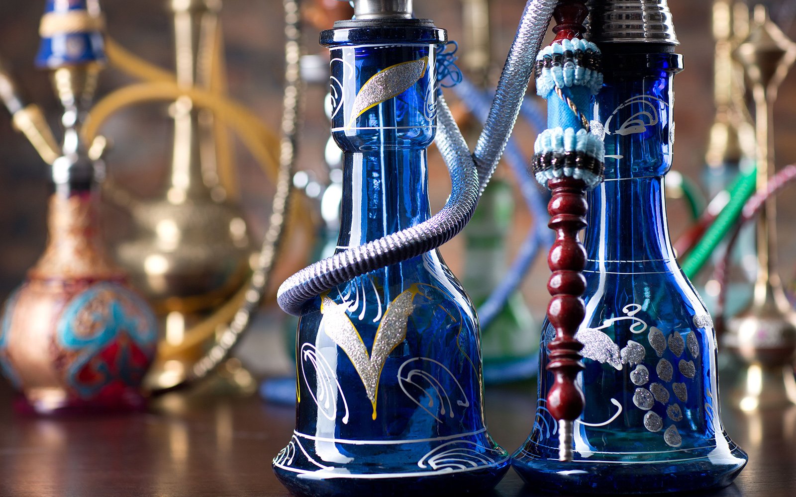 Octopus Garden Hookahs Asheville, NC