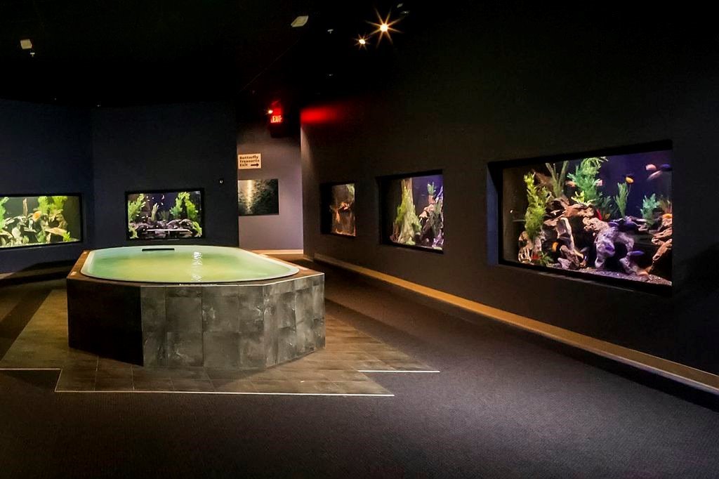 Southwest Seas Aquariums Photo HGallery Phoenix, AZ