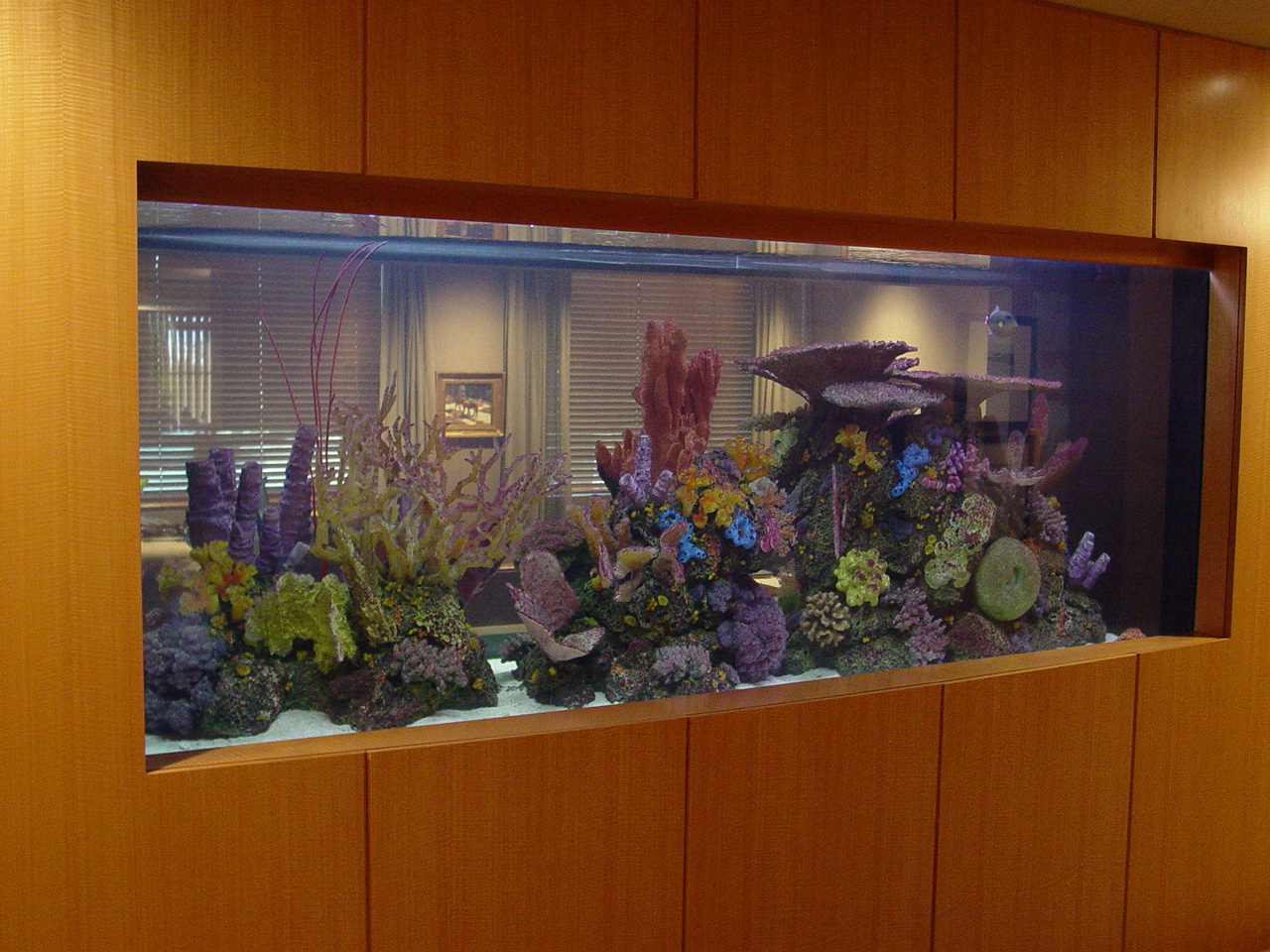 Southwest Seas Aquariums Photo HGallery Phoenix, AZ