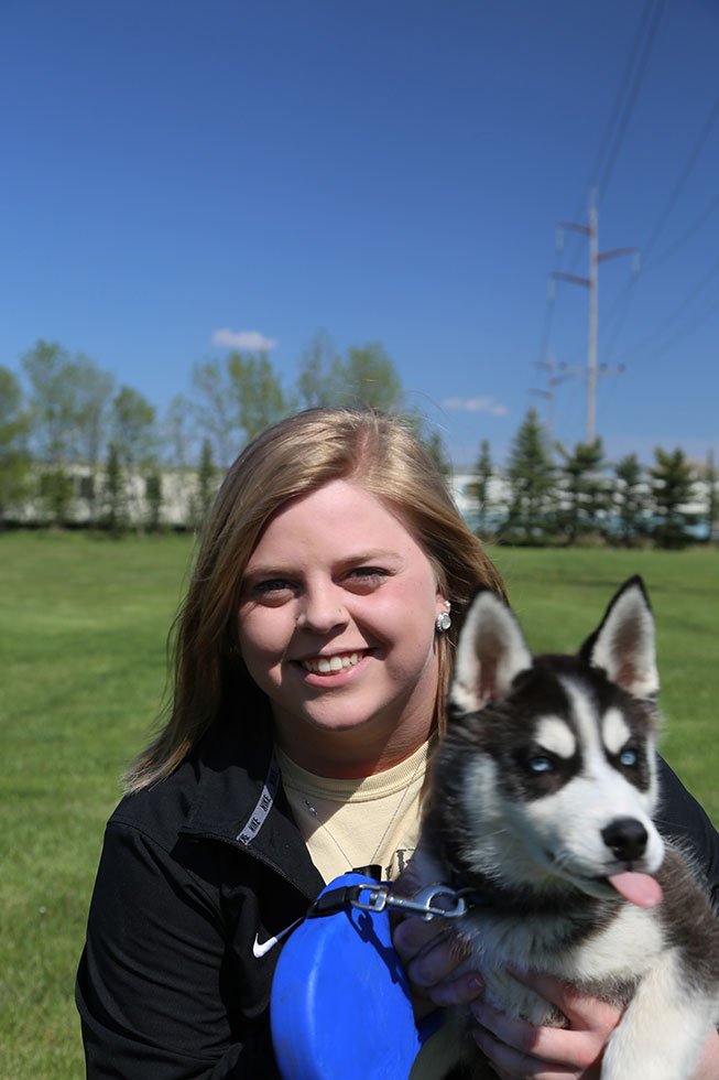 Fargo Boarding & Grooming Service Photo Gallery Fargo, ND