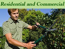 Tree Service - Hays, KS - Paul's Lawn & Tree Service