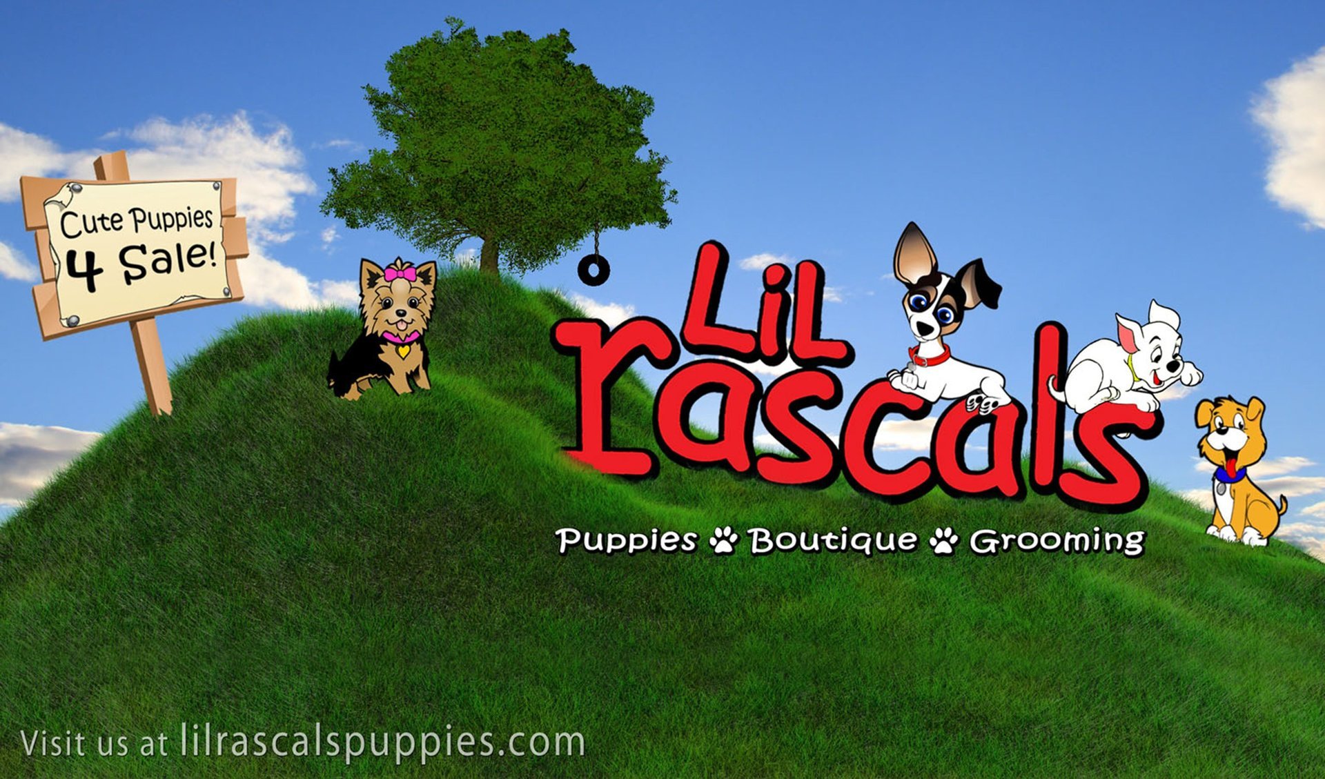 Lil Rascals Pet Store Fort Myers, FL