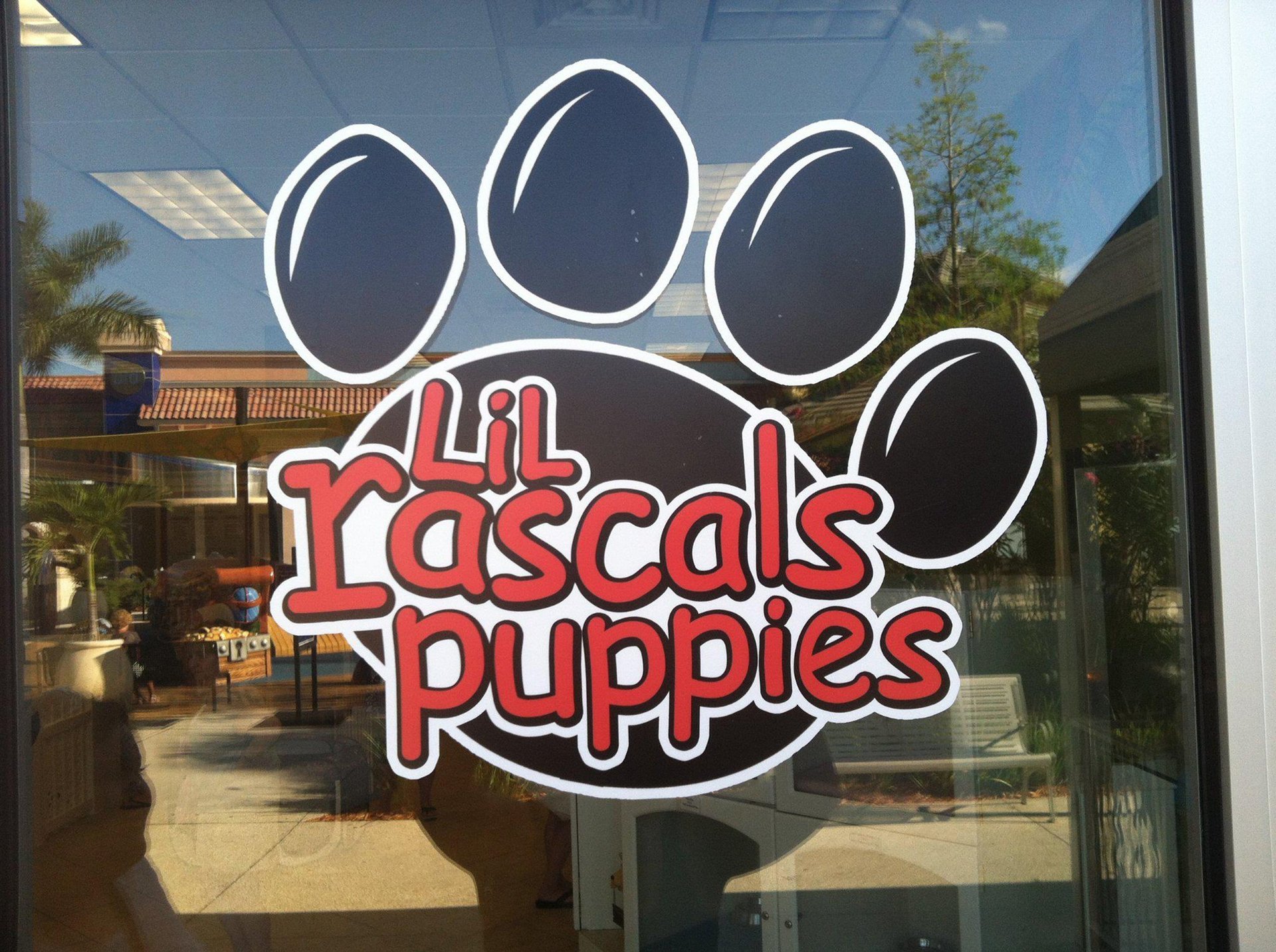 Lil Rascals Pet Store Fort Myers, FL
