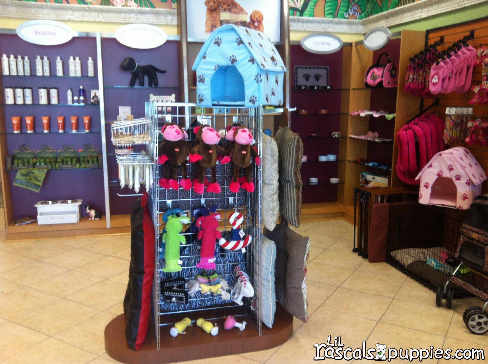 Lil Rascals Pet Store Fort Myers, FL