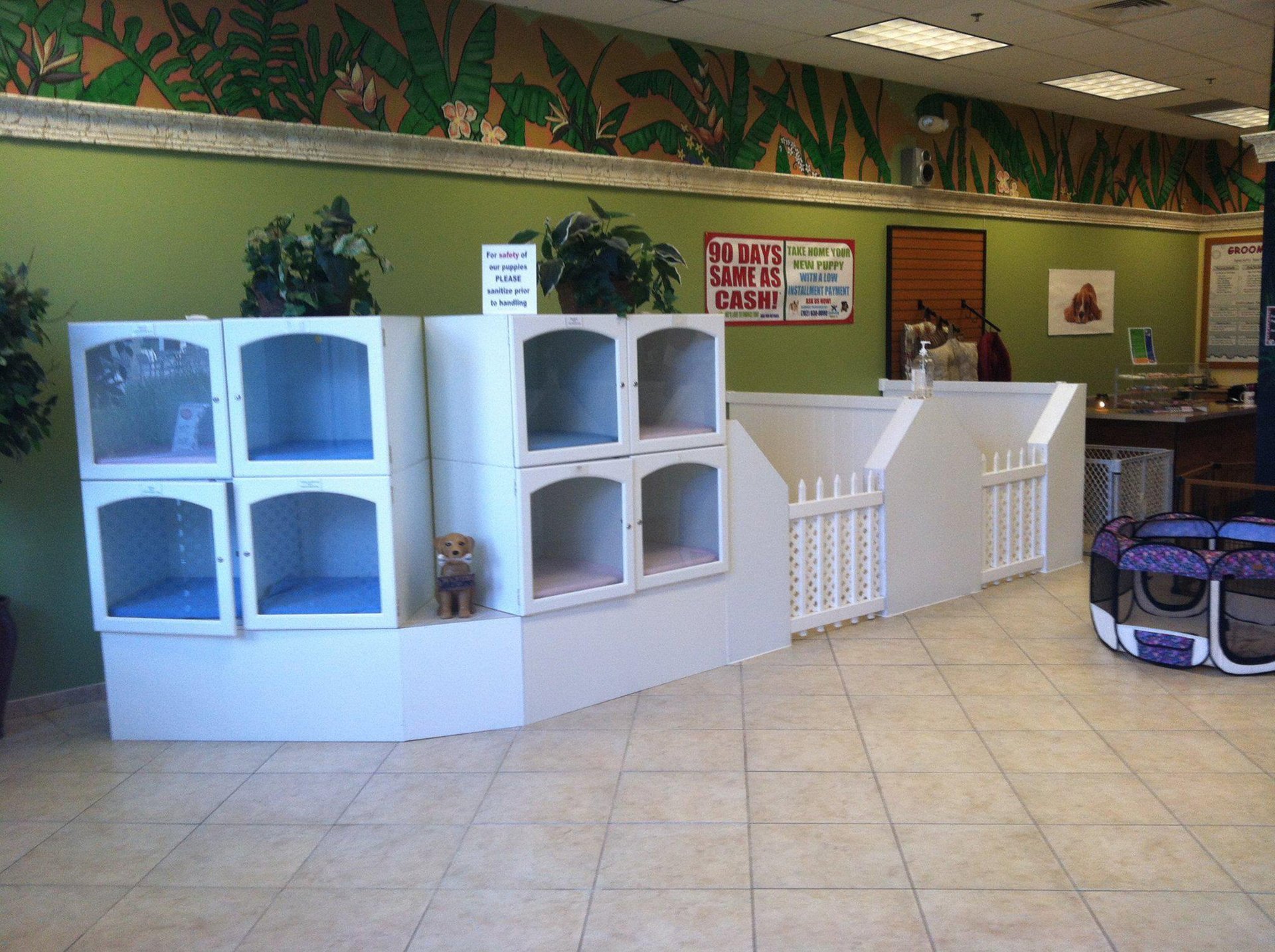 Lil Rascals Pet Store Fort Myers, FL