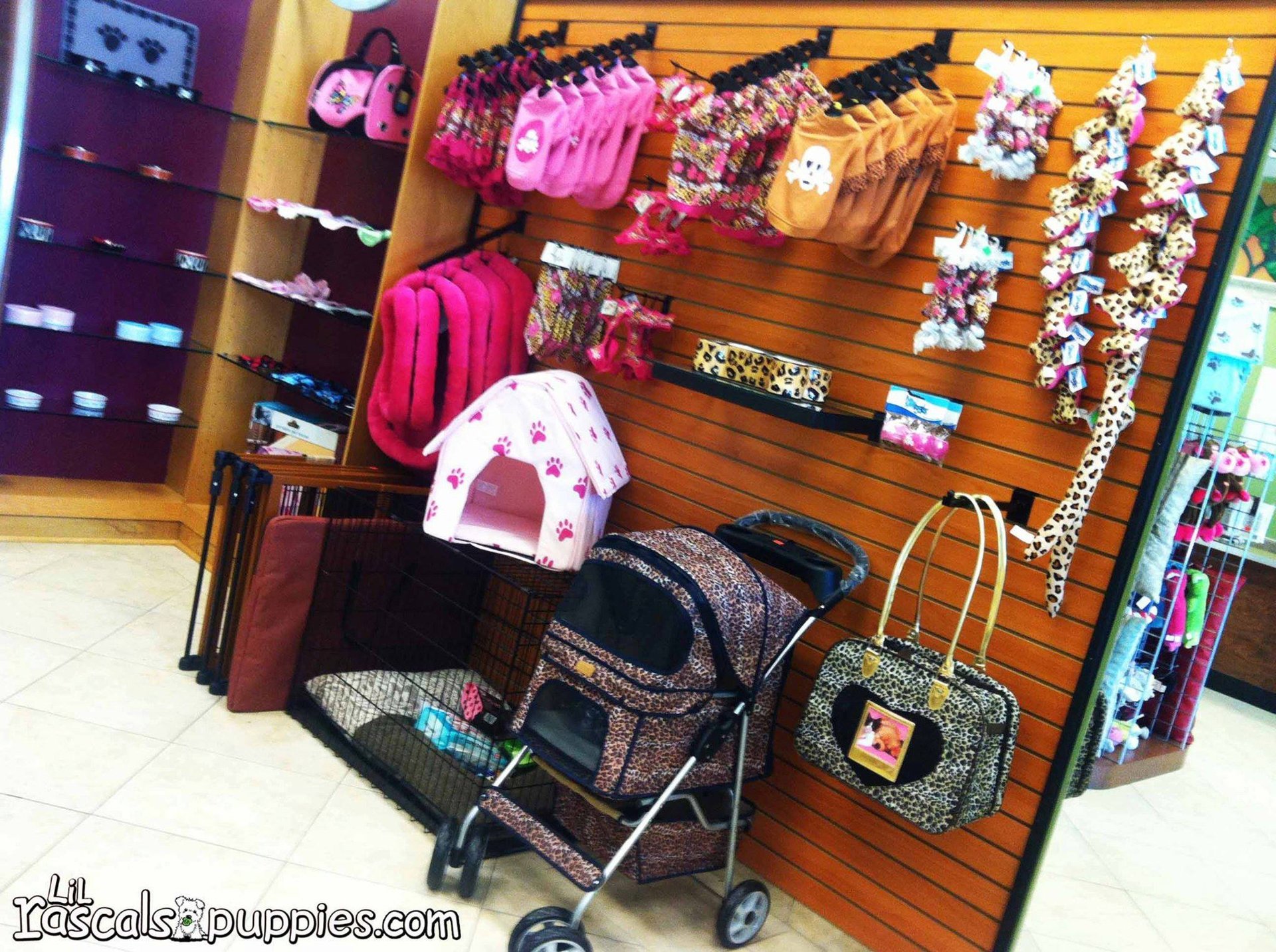 Lil Rascals Pet Store Fort Myers, FL