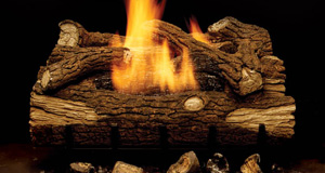 Gas log