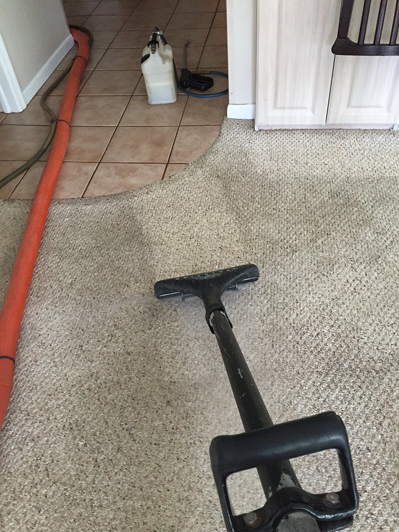 Dynamic Steam Carpet Cleaners Tile Cleaning St. Petersburg