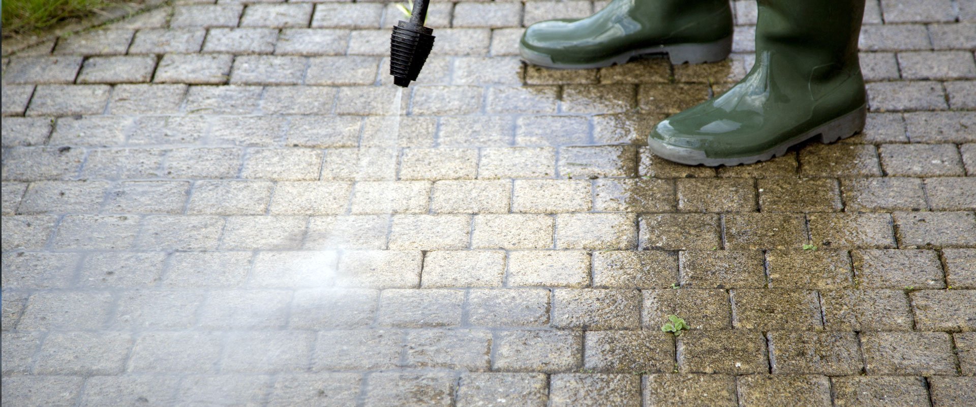 Carpet & Steam Cleaning Olympia WA Scrubby Corp