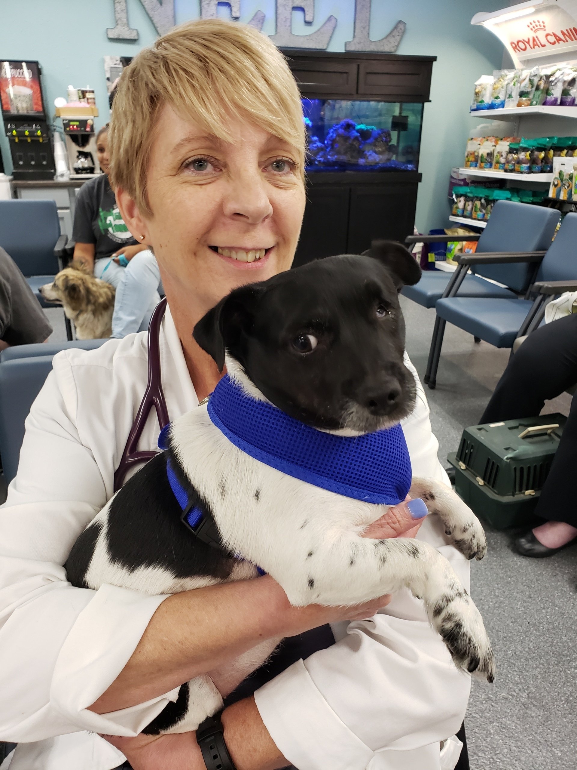 Neel Veterinary Hospital Pet Care Oklahoma City, OK