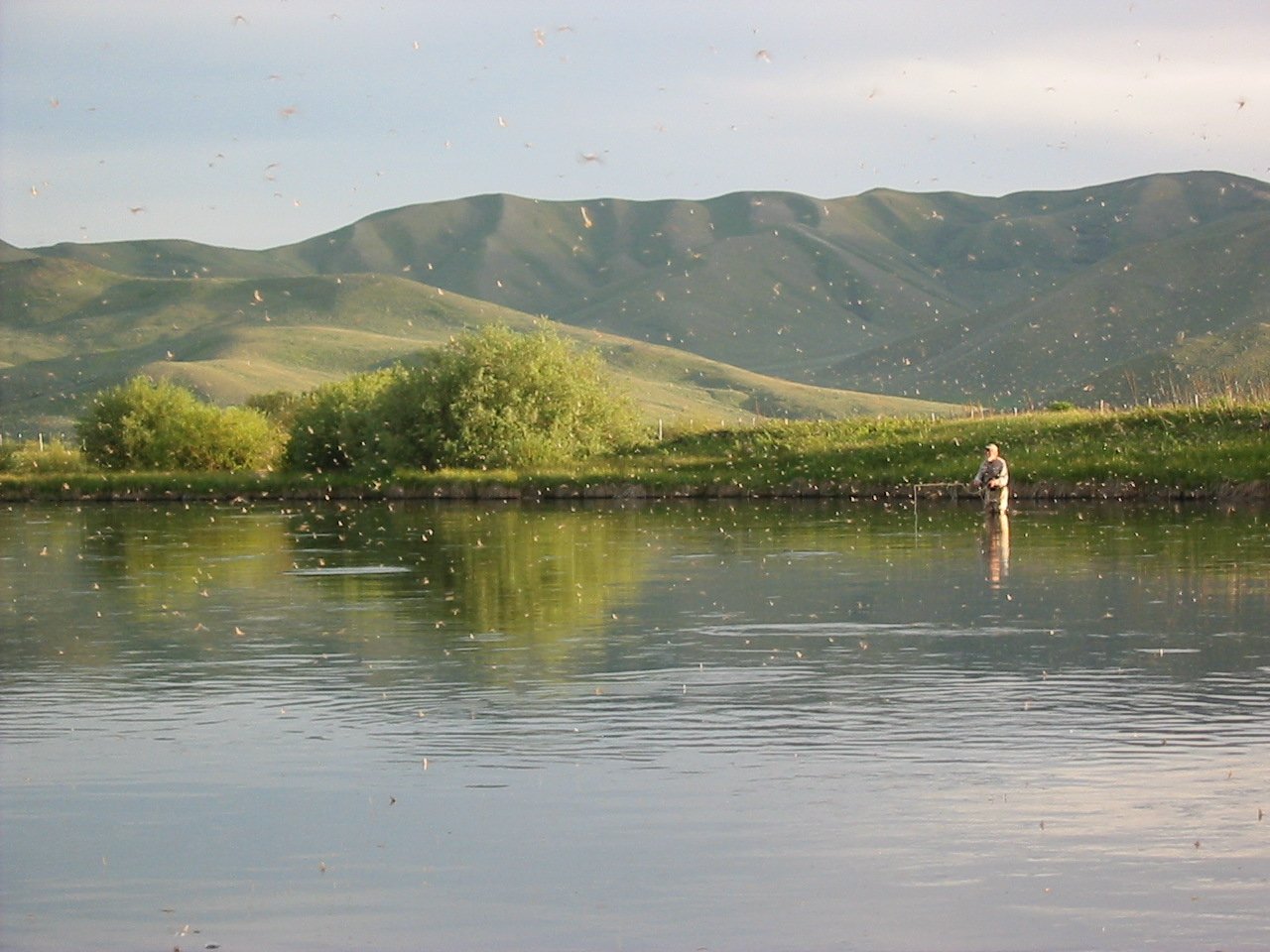 Silver Creek Fishing Fly Fishing Ketchum, ID