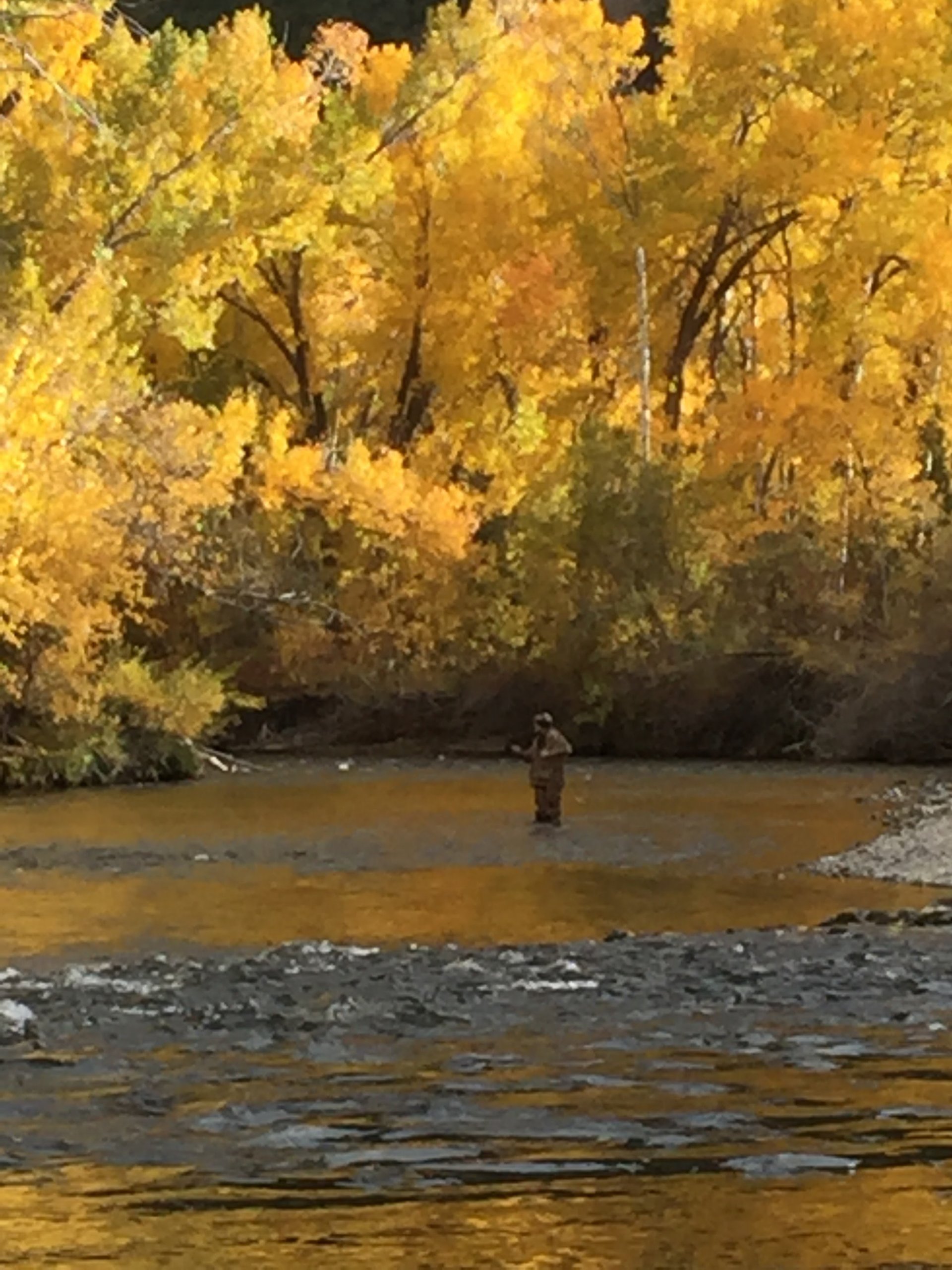 The Big Lost River Fishing Guided Fishing Trips Ketchum ID