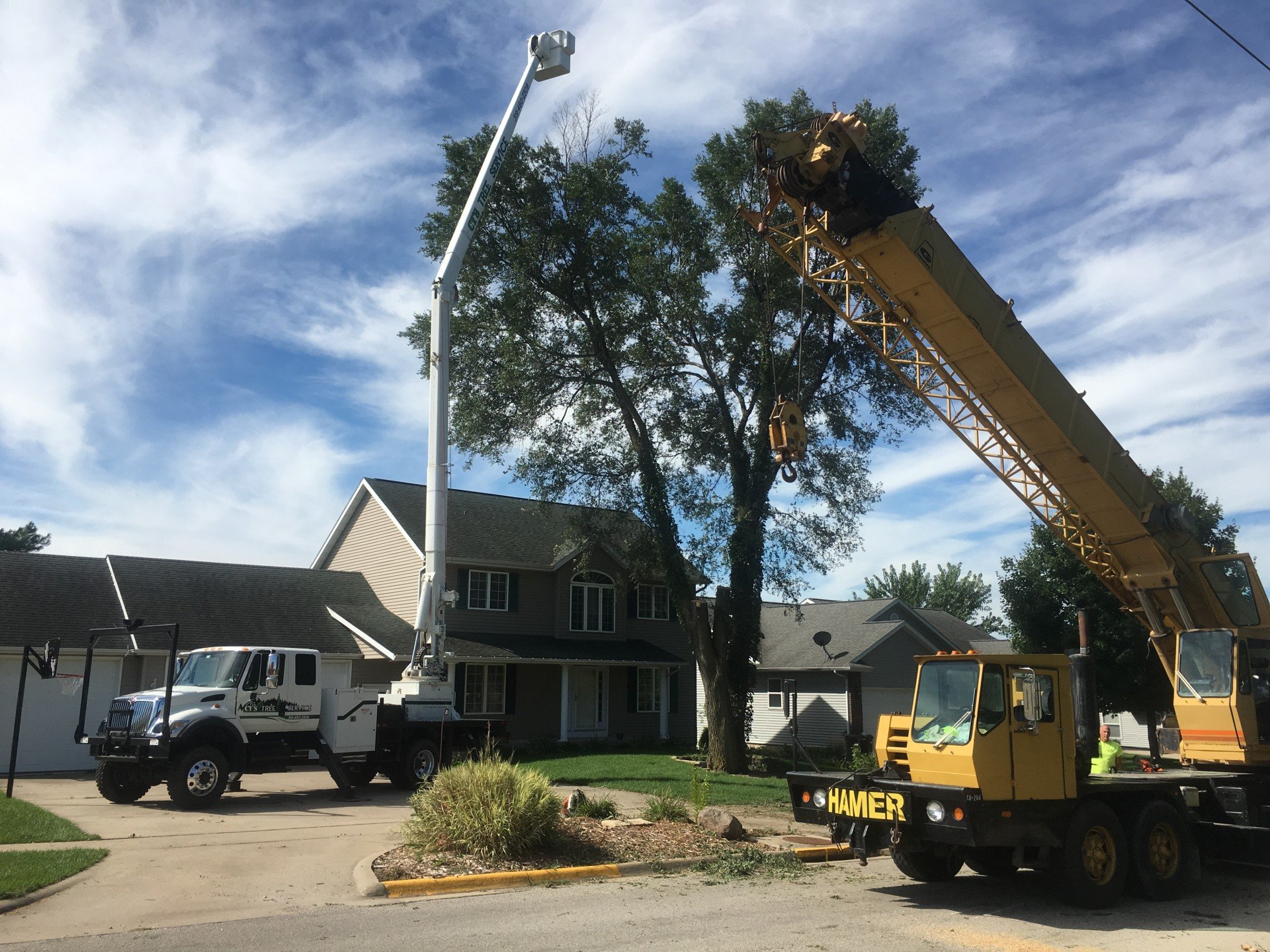 Tree Care Tree Service Anamosa, IA