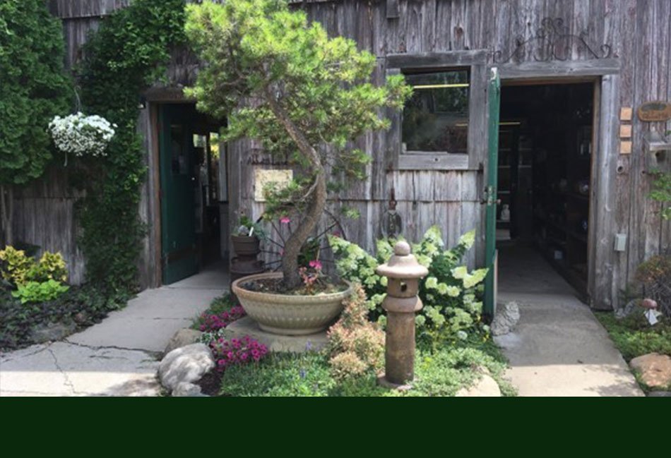 Garden Center Ann Arbor Mi Abbott S Landscape Nursery Garden Plants Ann Arbor Mi Abbott S Landscape Nursery 734 665