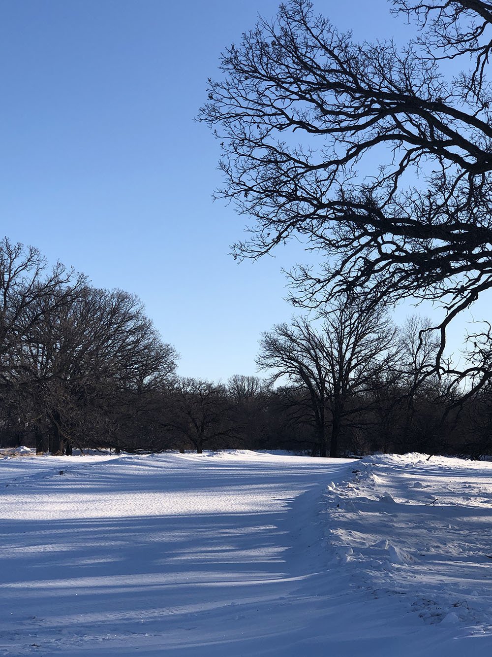 Johnson Auction and Realty LLC Real Estate Fargo, ND