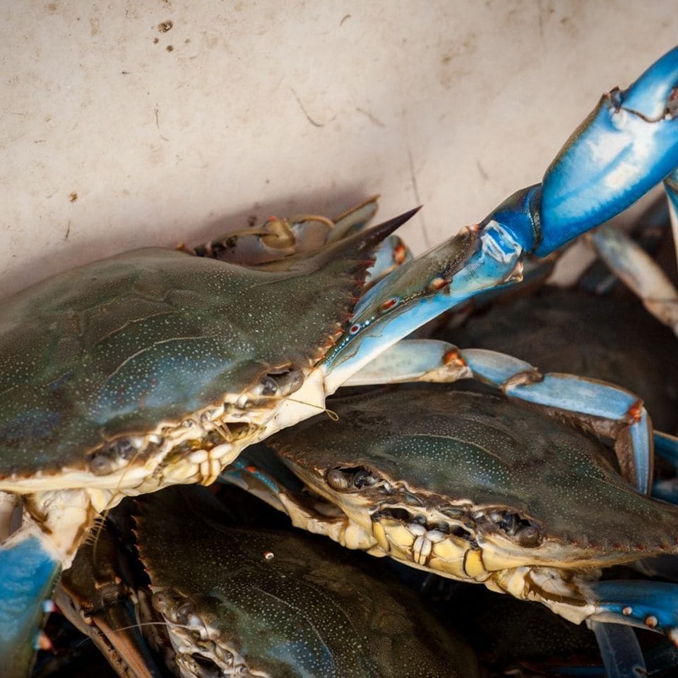 Crabbys Oyster Bar Seafood Restaurant Jensen Beach, FL