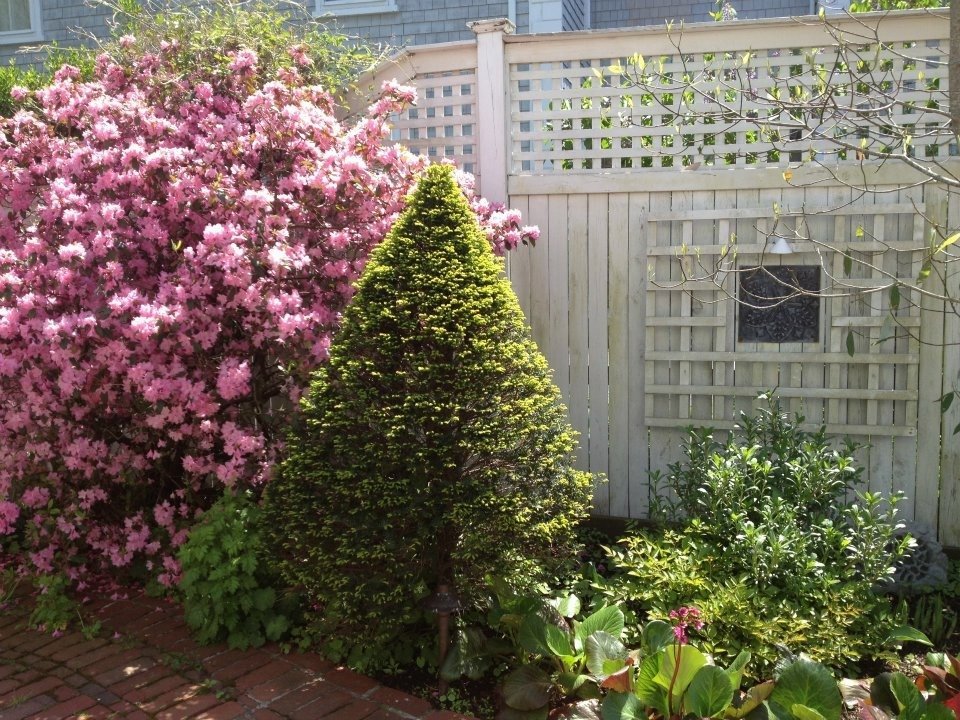 Advanced Landscaping Landscape Maintenance Duxbury, MA