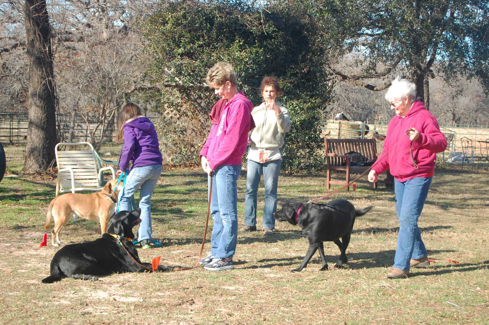 K9 Behavior Boarding & Training Facility Photo Gallery La Vernia