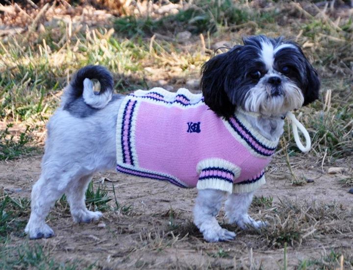 Pet Boarding for Dogs and Cats Manhattan KS