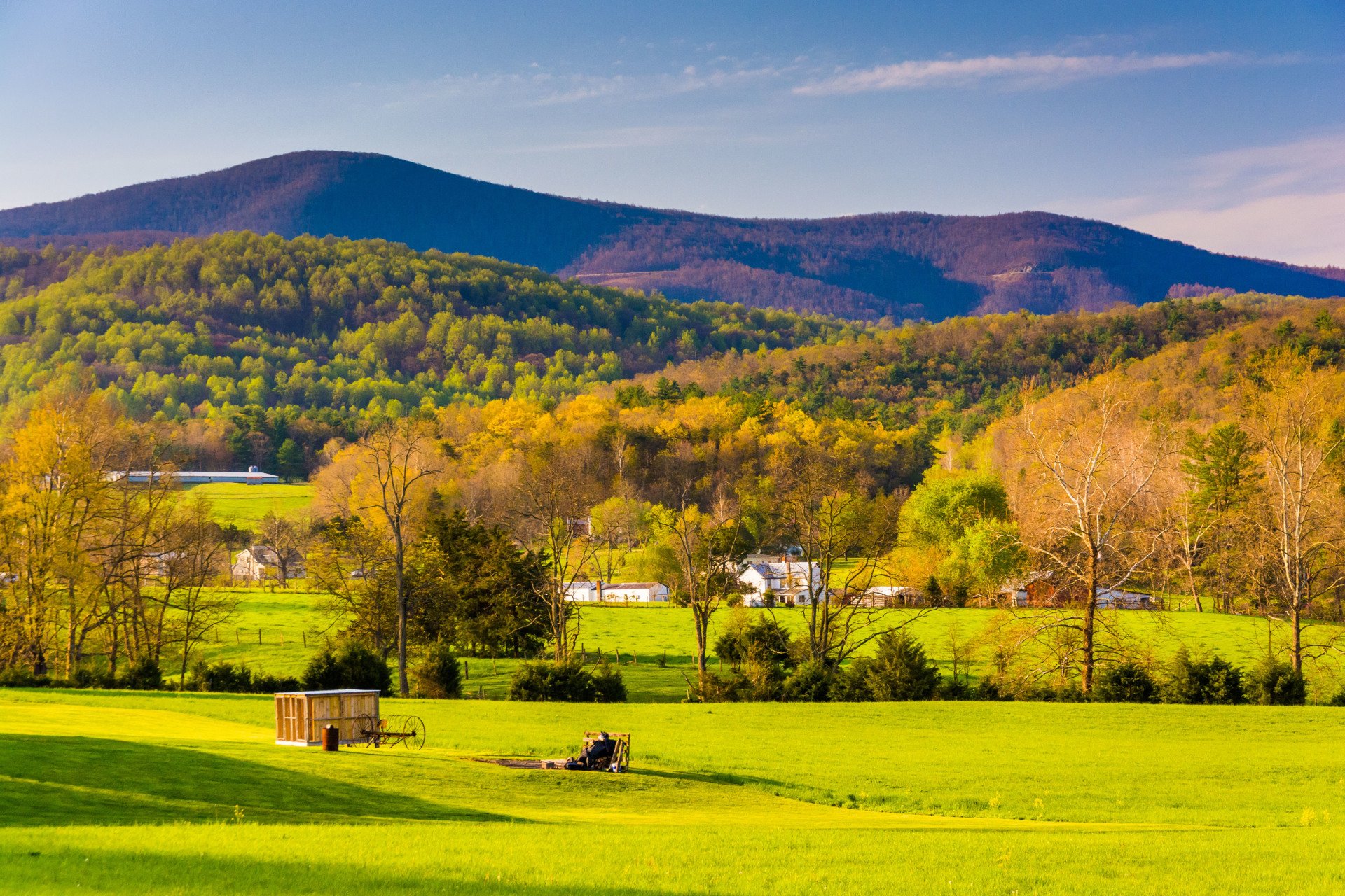 A Street Legal Services Inc., P.S. Attorney Auburn, WA