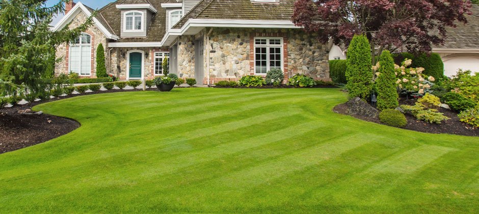 Landscape Design Residential Commercial Sylmar Ca