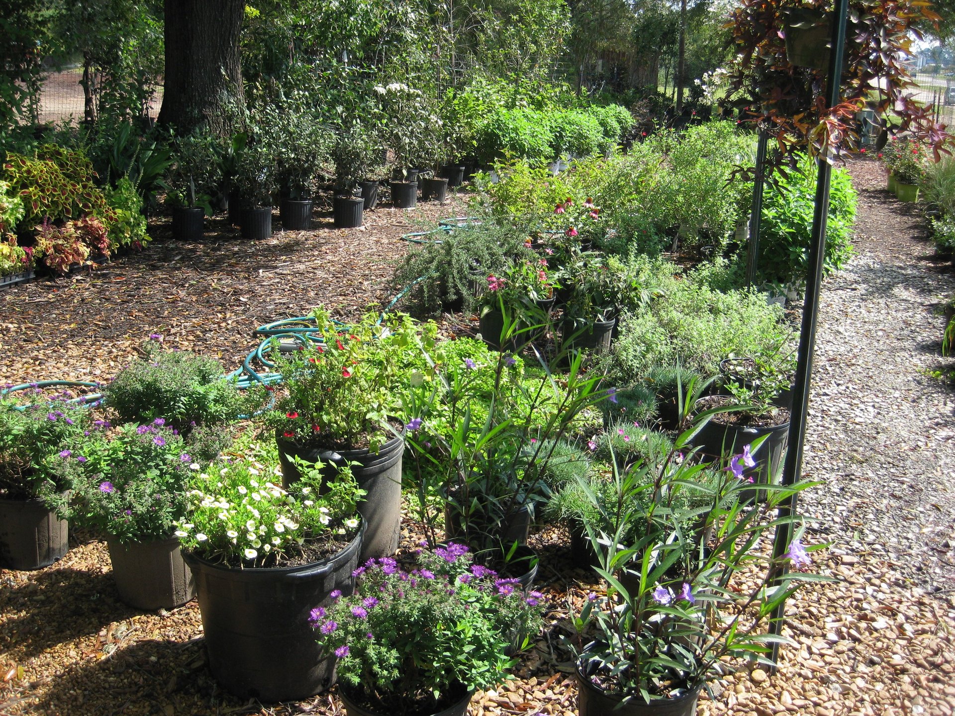 Garden Gin Landscaping and Gardening Products Oxford, MS