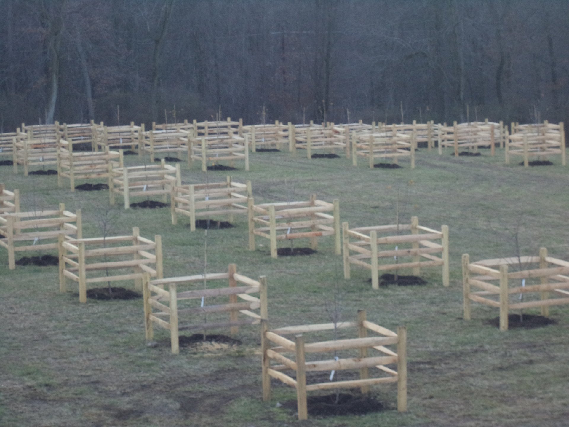 Agricultural Fencing Farm Fencing Paradise, PA