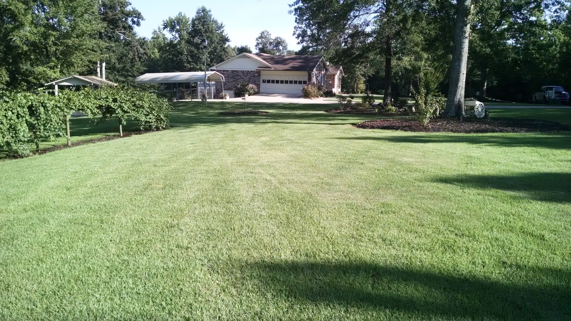 Turf Management Lawn Care McDonough, GA