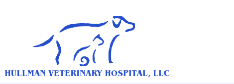 homedale veterinary homedale veterinary
