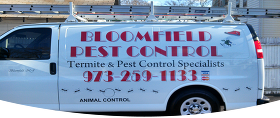 Pest Control Essex