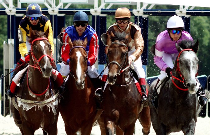 About High Horse Stables | Manhattan, KS Horse Boarding