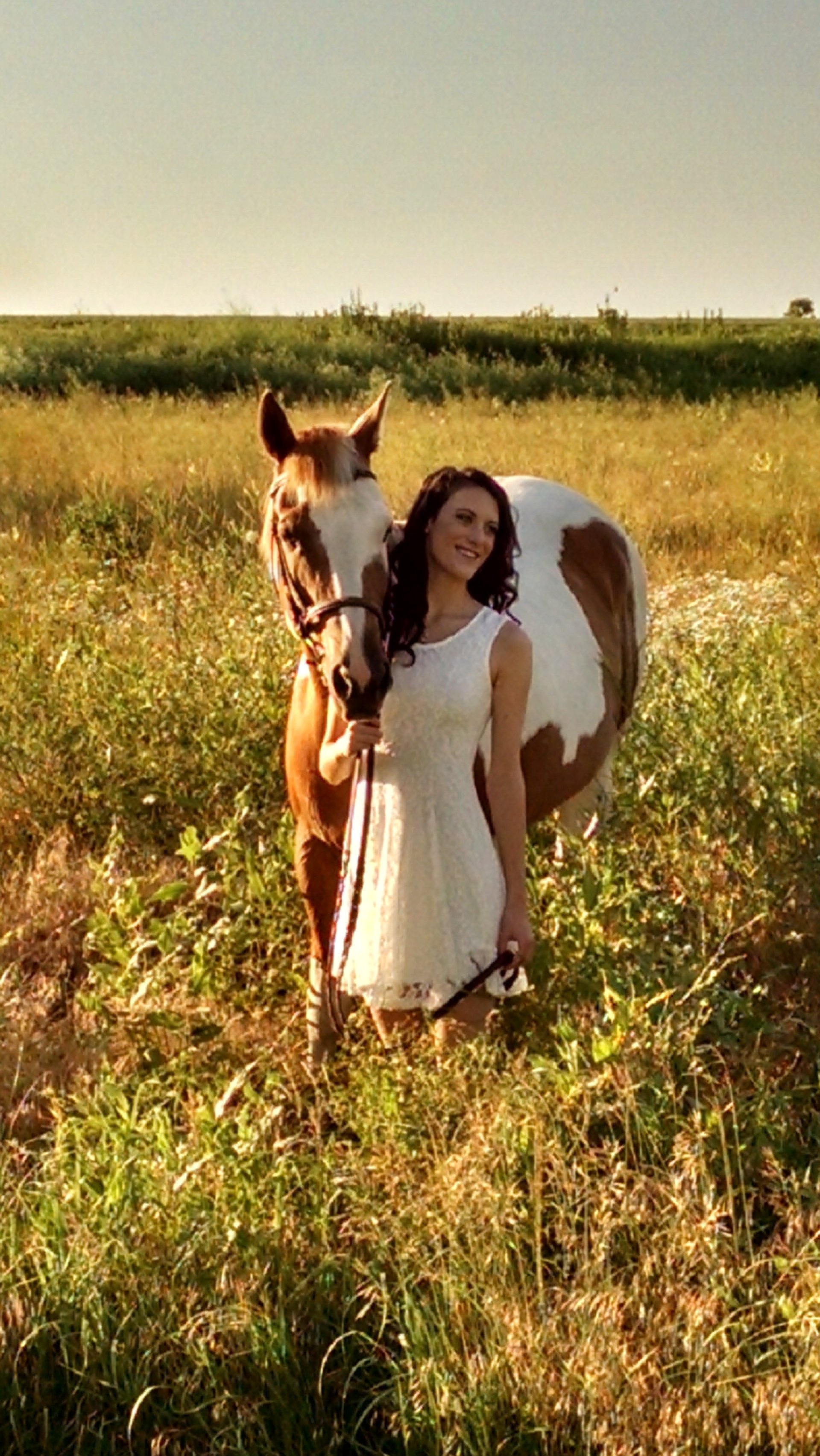 High Horse Stables Photo Gallery Manhattan, KS