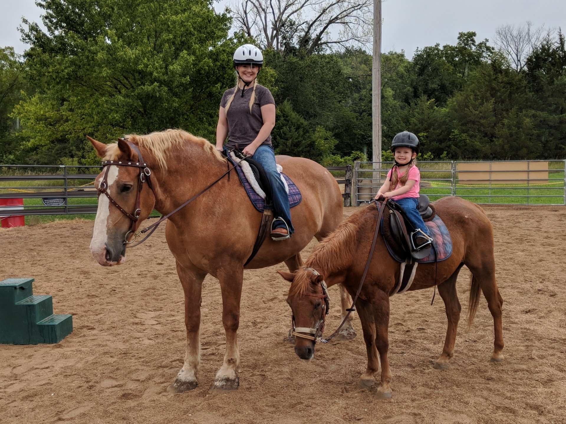 High Horse Stables Photo Gallery | Manhattan, KS