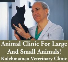 Animal Clinic - Petersburg, OH - Kolehmainen Veterinary Clinic