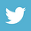 twitter-logo-blue-box35