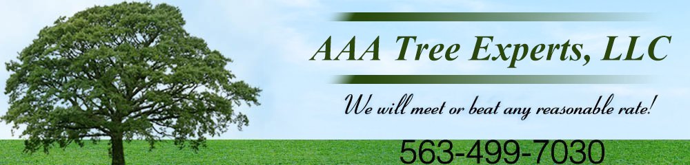 Landscaping Contractor Davenport, IA AAA Tree Experts, LLC