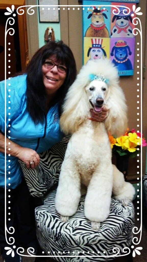 Need Us Bark Us Dog Grooming and Spa Amarillo, TX