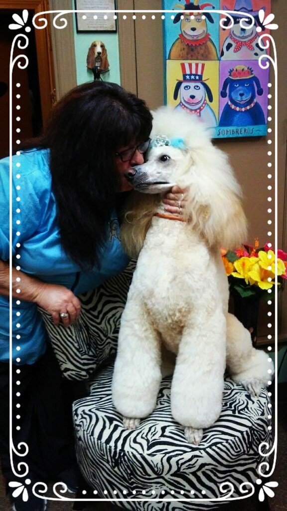 Need Us Bark Us Dog Grooming and Spa Amarillo, TX