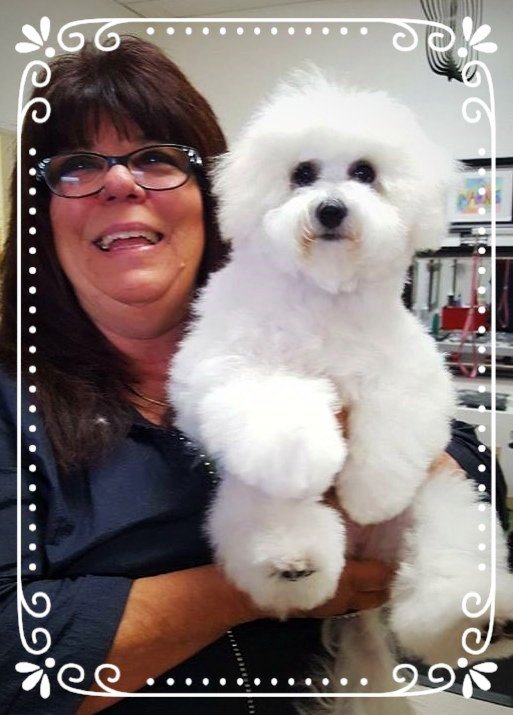 Need Us Bark Us Dog Grooming and Spa Amarillo, TX