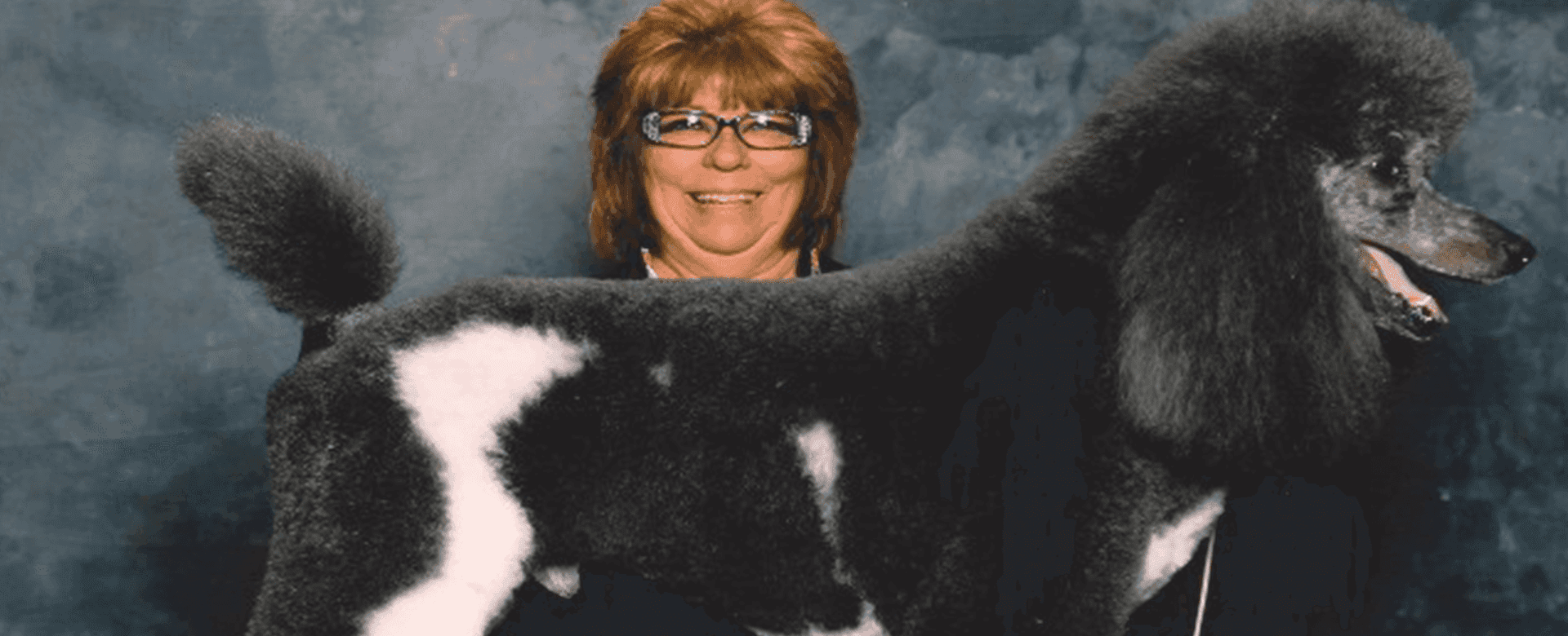 Best Dog Groomer Amarillo Best Dog Groomer Amarillo