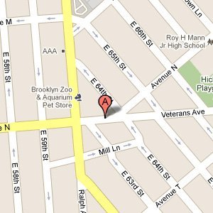 Mill Basin Bagel Cafe Brooklyn Ny Mill Basin Bagel Cafe Brooklyn Ny