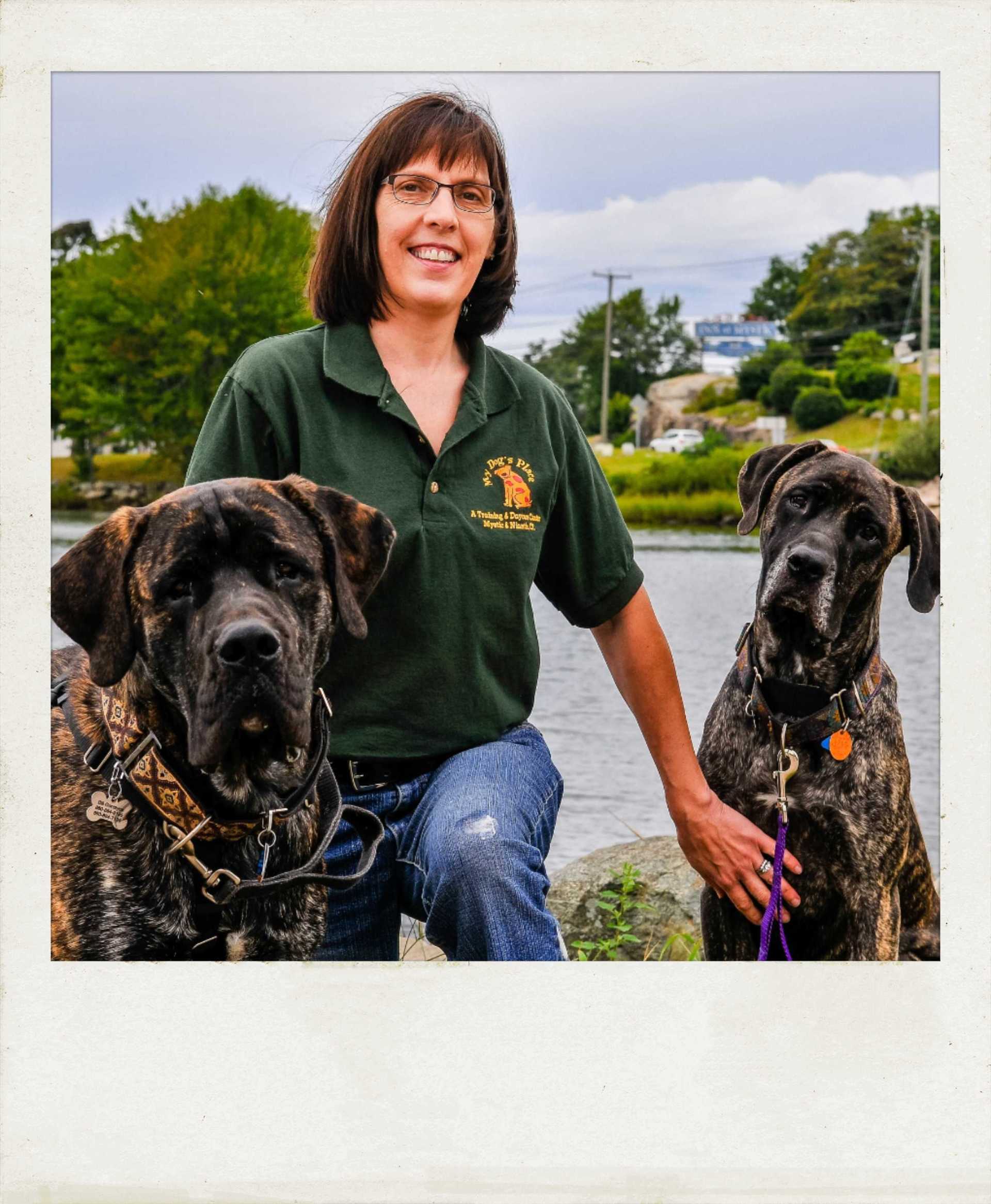 Dog's Daycare Training Methods Stonington, CT